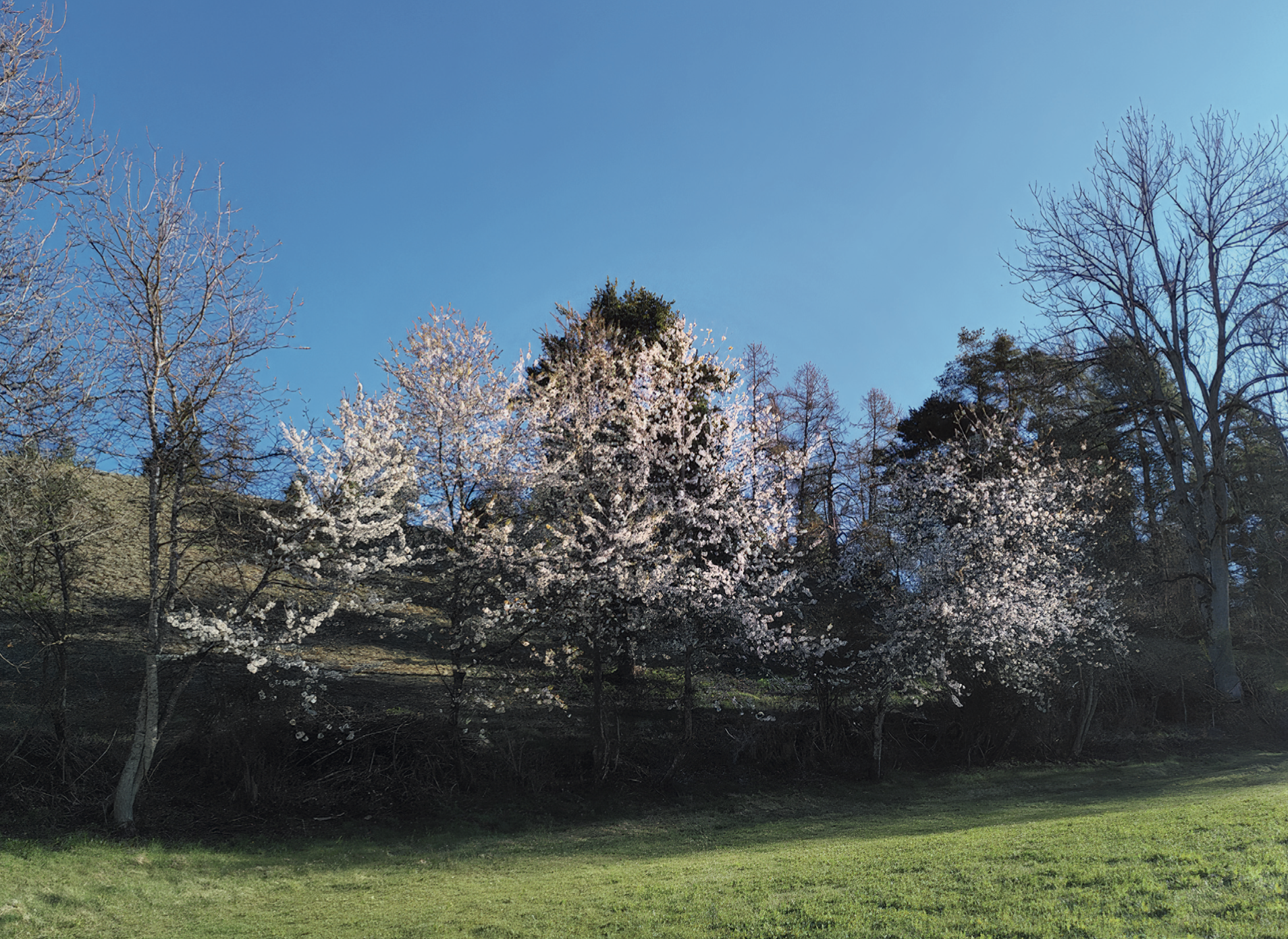 Naturlehrpfad Altaun